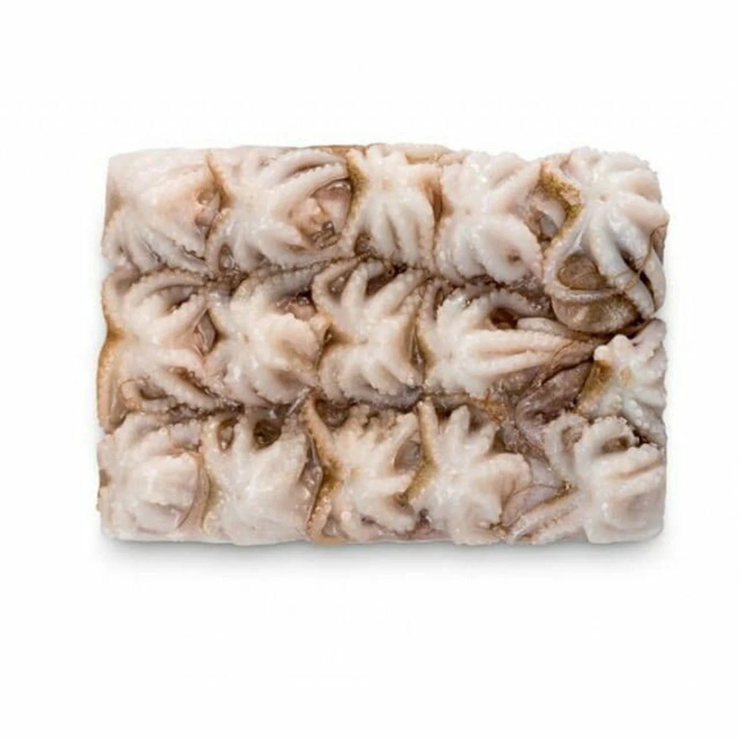 PULPITO MINI VIETNAM 40/60 5X1KG