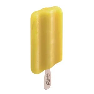 PALETTA MANGO ECO 22UND