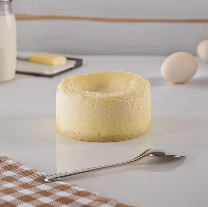 CREMOSITA DE QUESO 20UD X 120GR