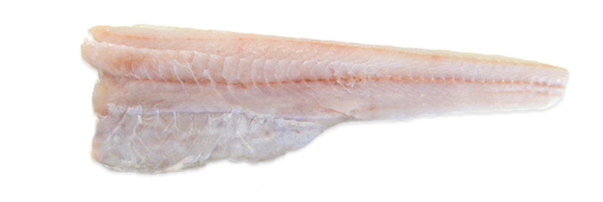 ROSADA FILETE NATURAL 1200/1800